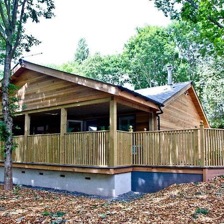 Cedar Lodge, South View Lodges, Exeter Extérieur photo