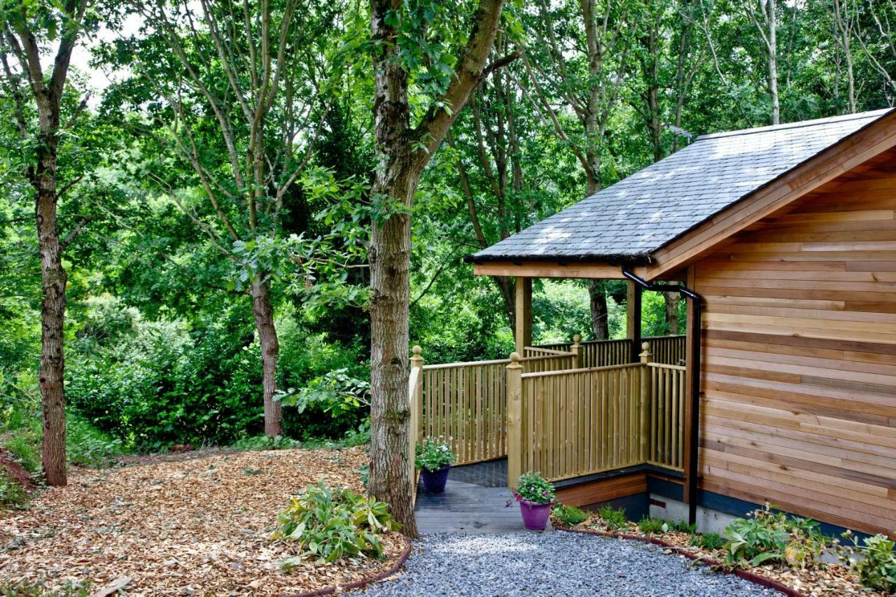 Cedar Lodge, South View Lodges, Exeter Extérieur photo