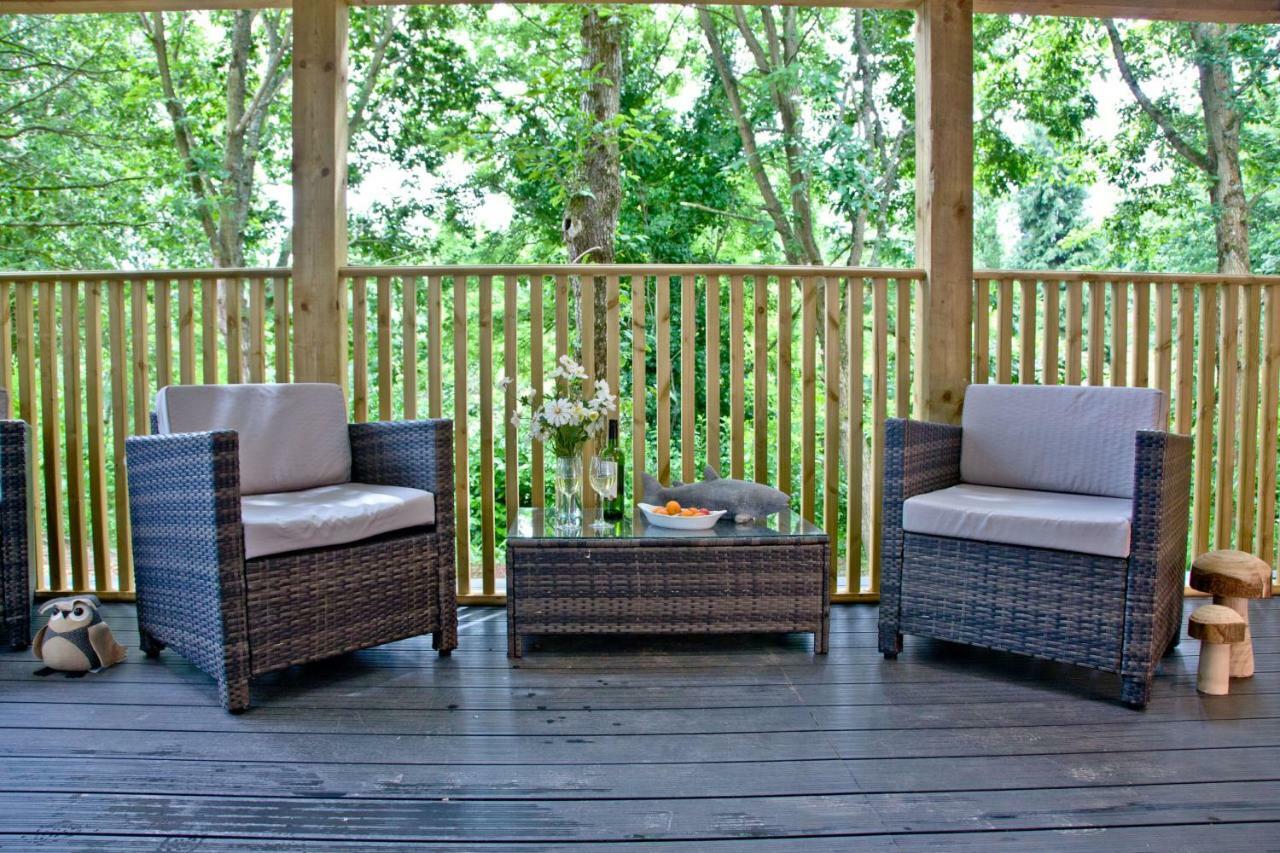 Cedar Lodge, South View Lodges, Exeter Extérieur photo
